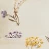 Color swatch - CREAM FLORAL