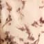 CREAM FLORAL