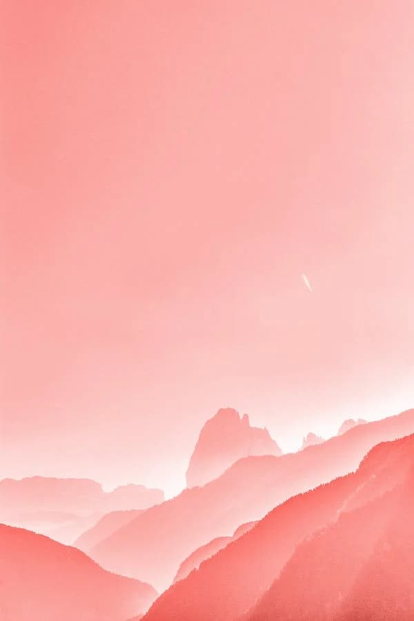 NEW WEBP - 